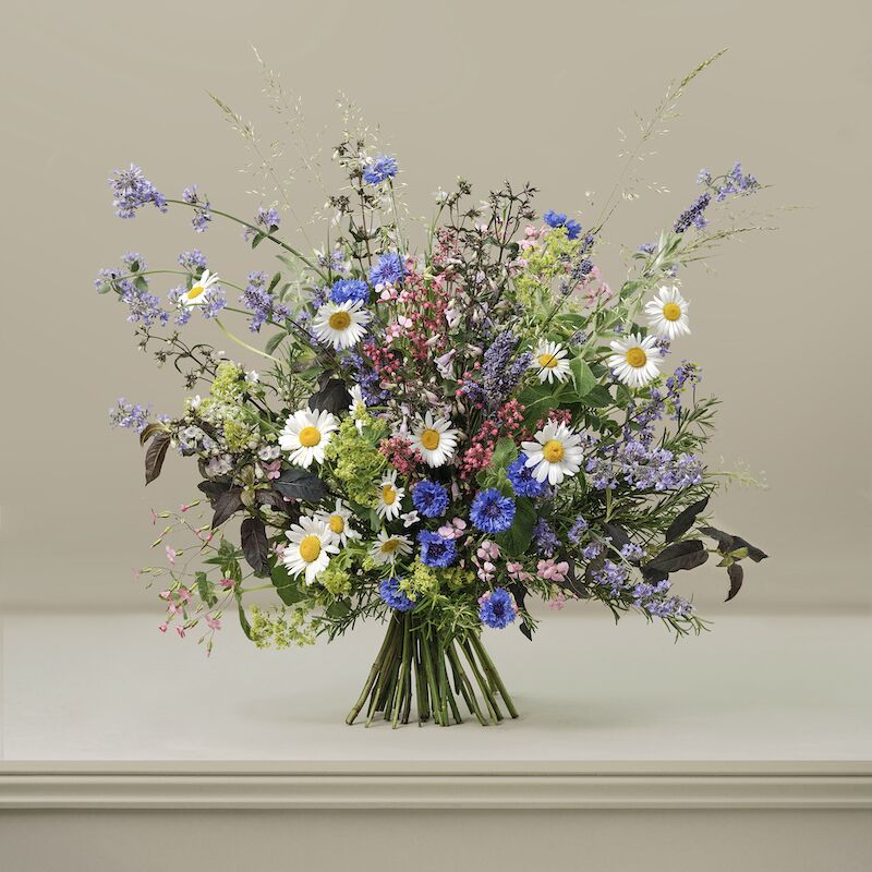 Dolly Mixture British Garden Flowers