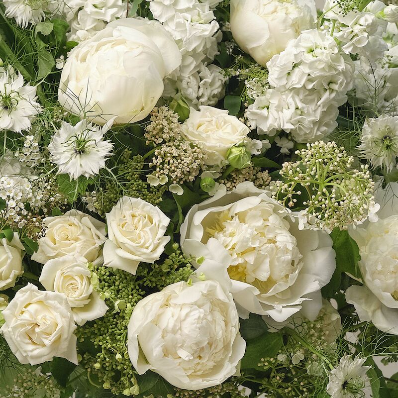 The Austen - Image 2