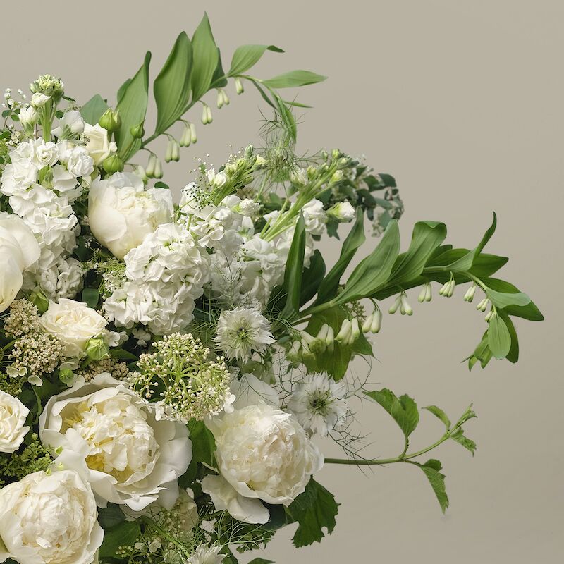 The Austen - Image 3